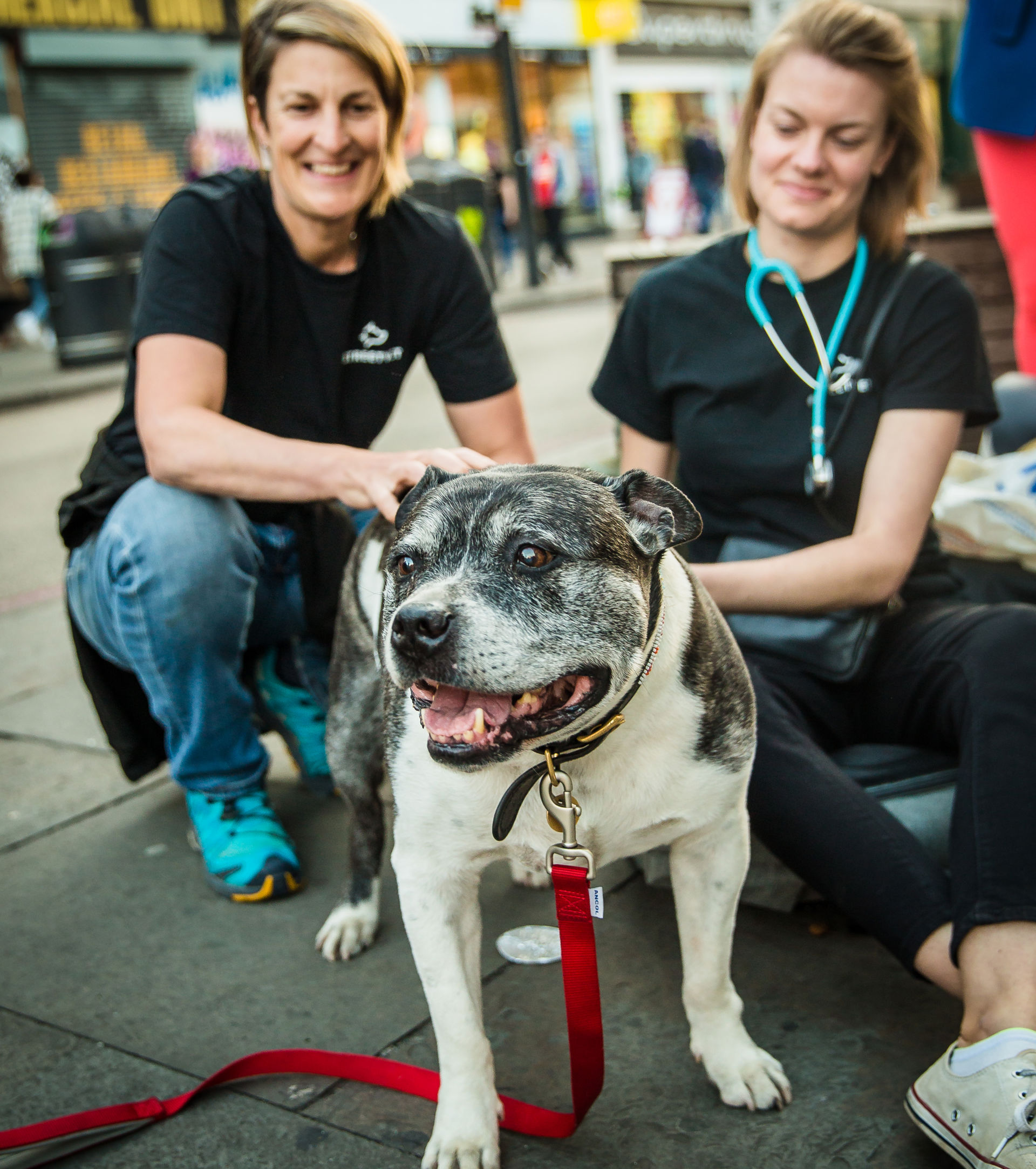 Camden_Benson_ Streetvet team C Love Phodography-0541.jpg