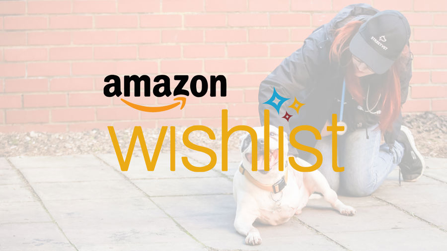 Amazon-Wishlist.jpg