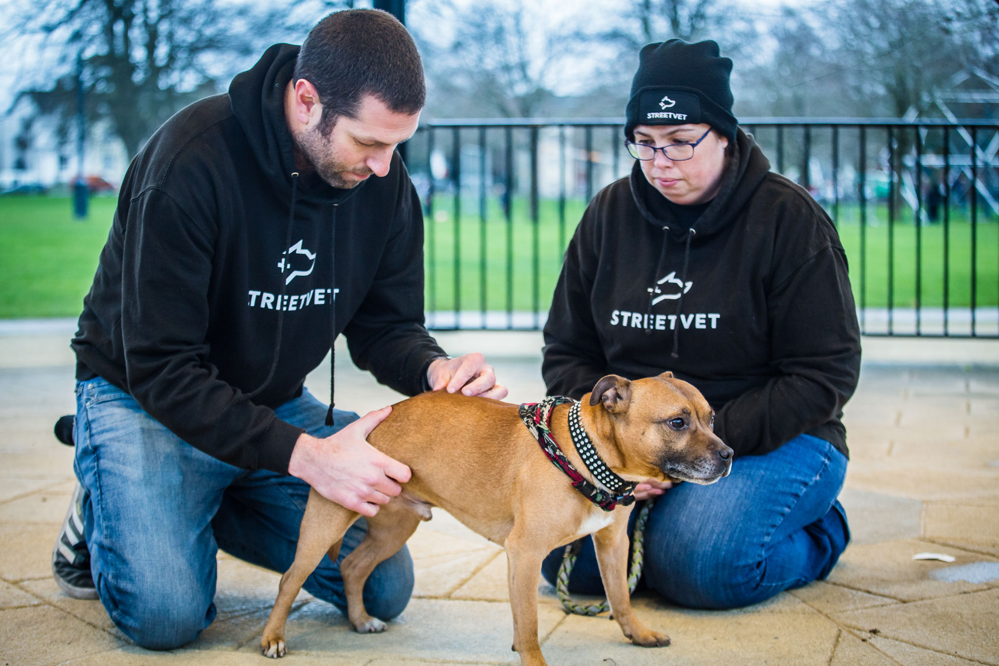 Gloucester_Ozzy_Streetvet Team C Love Phodography  Streetvet-0062.jpg