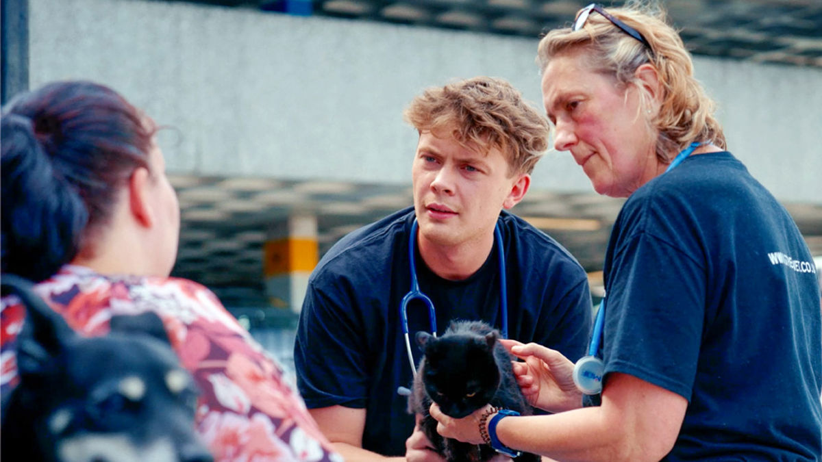VETS WITH CAT OUTREACH.jpg