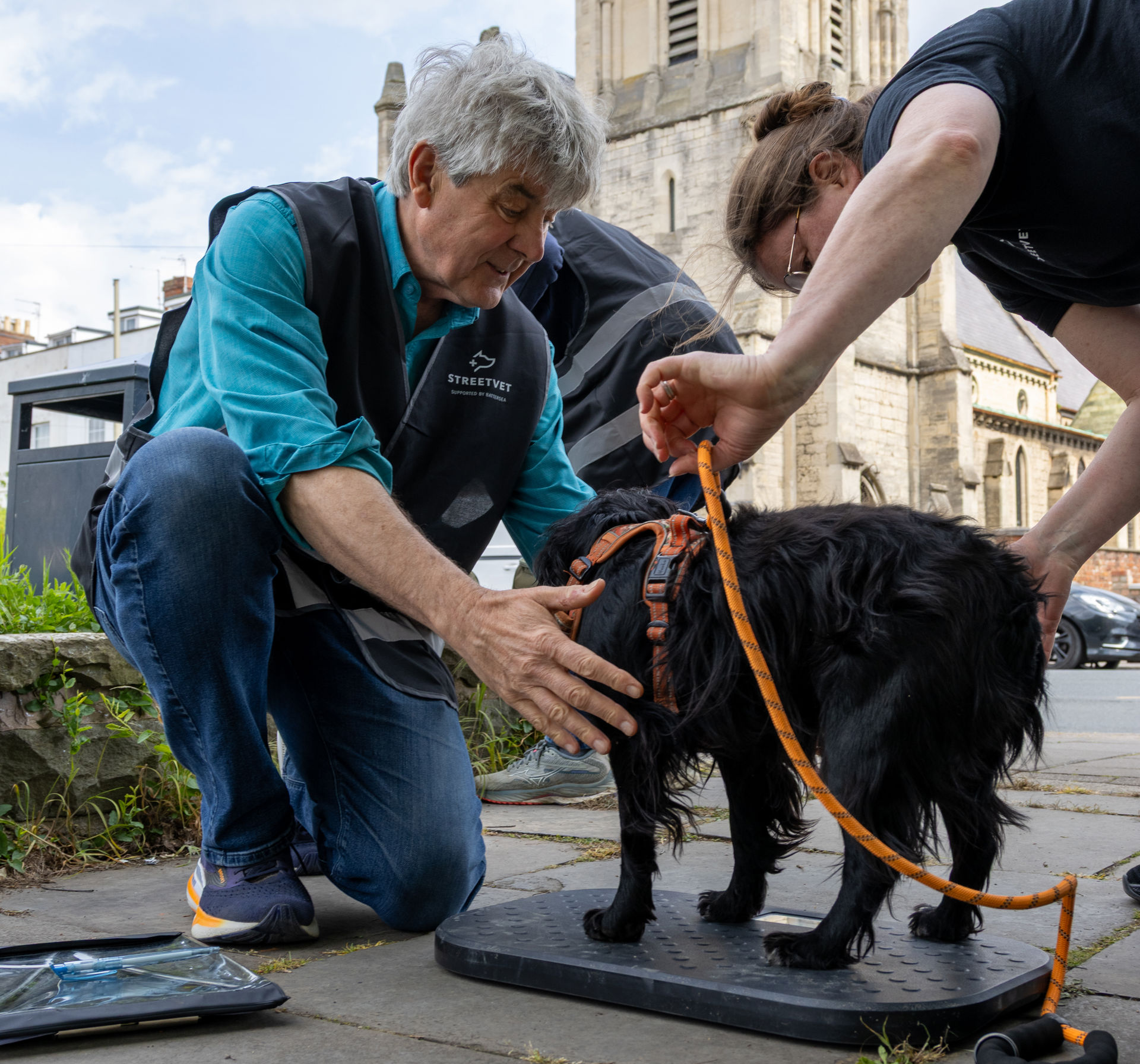 StreetVet volunteers weigh and examine a small black spaniel dog on a scale during an outdoor outreach beside a church