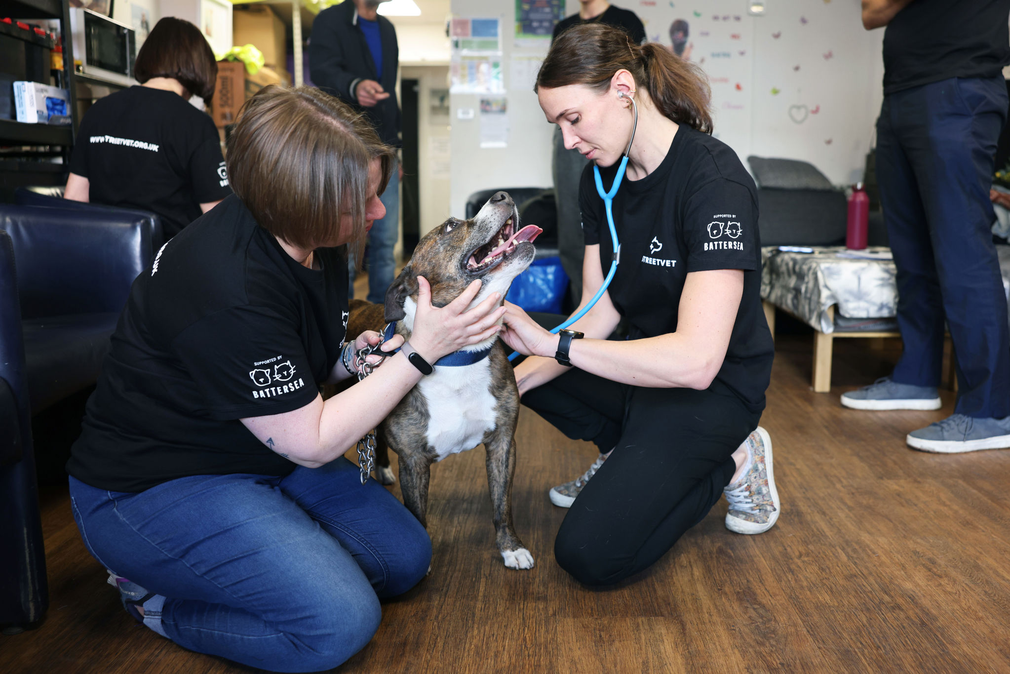 2025-04-12_GP_StreetVet_Outreach_Islington (52) Bailey (1)