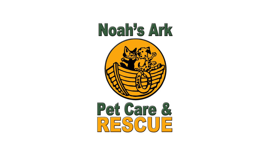 NOAH'S Arc