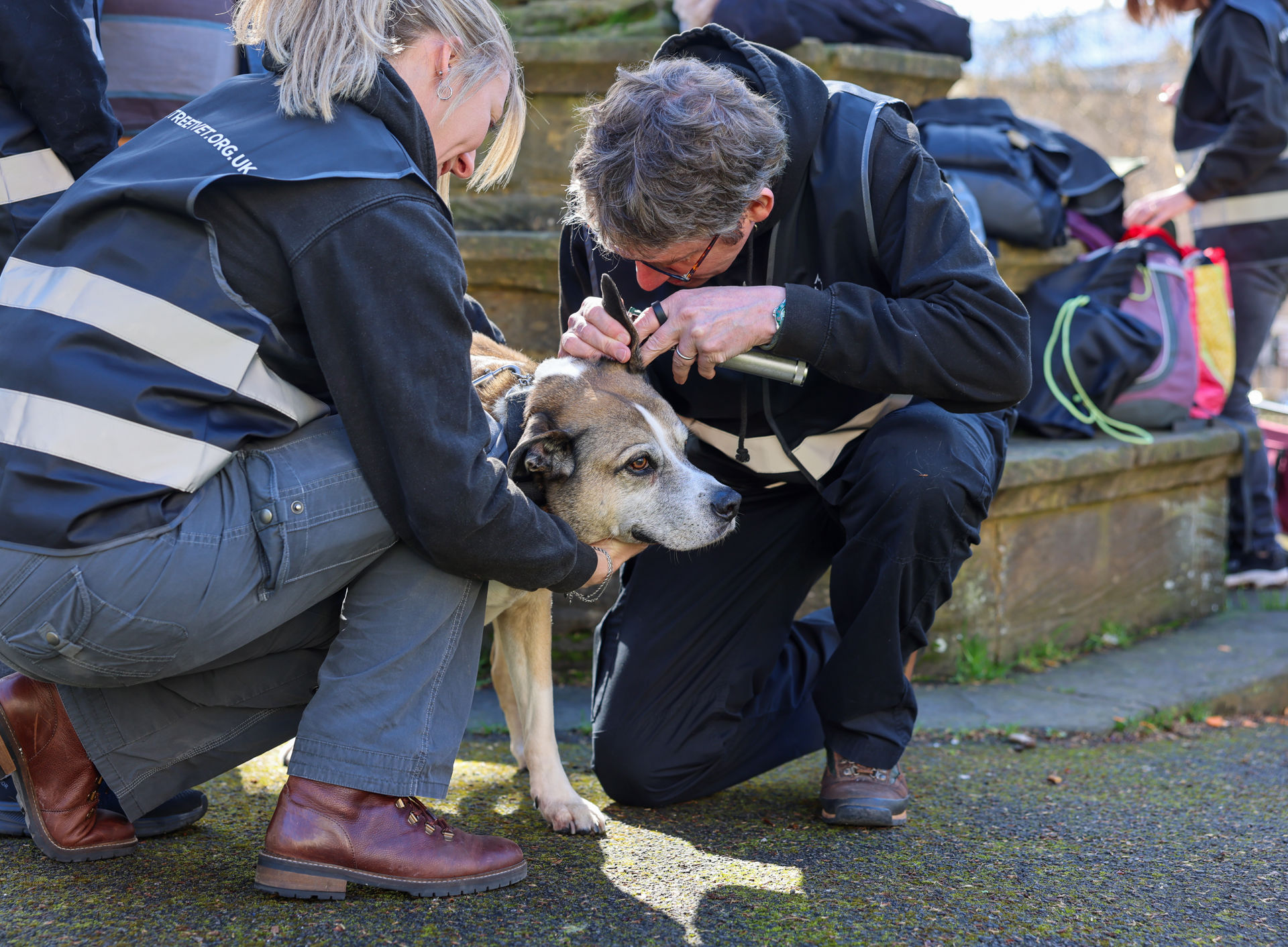 2026-03-14_GP_StreetVet_OutReach_Bristol_20.jpg