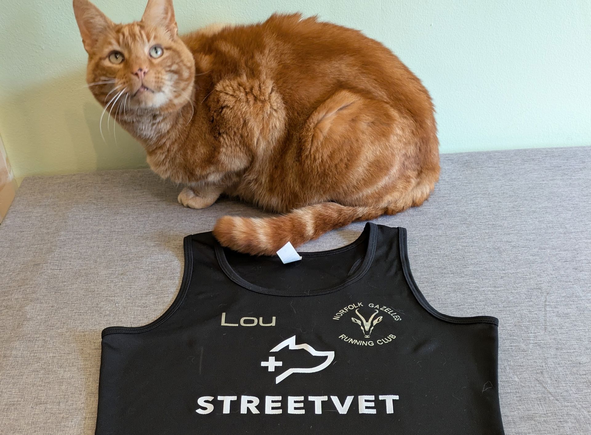 Louise Cat (2).jpg