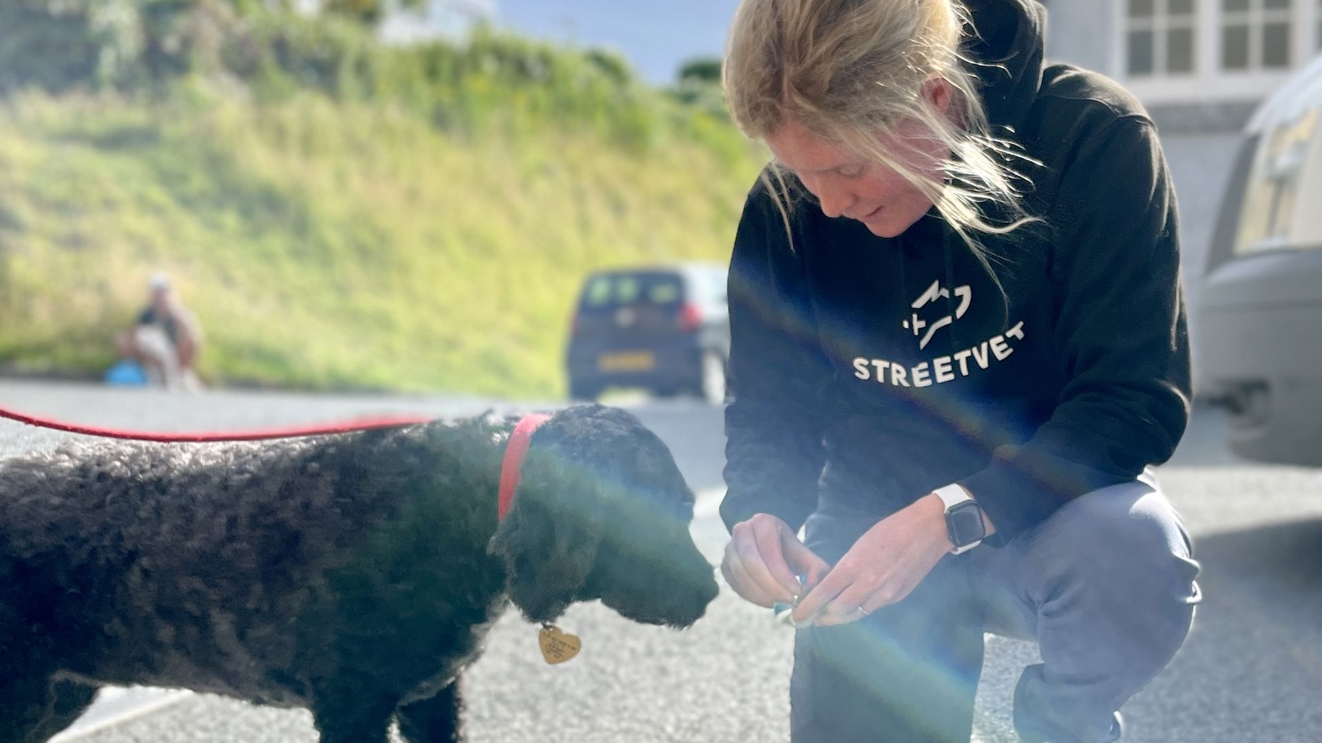 A StreetVet volunteer kneeling down to give a small fluffy dog a treat